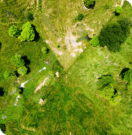 Ariel view of conservation